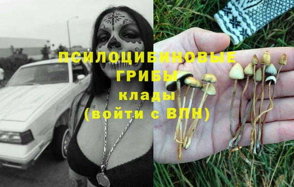 кристаллы Инта