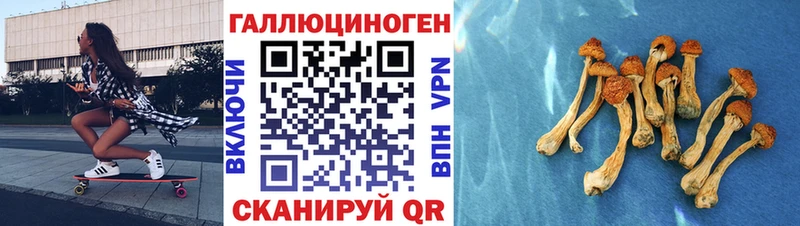 Псилоцибиновые грибы Psilocybe  Купить  Судак 