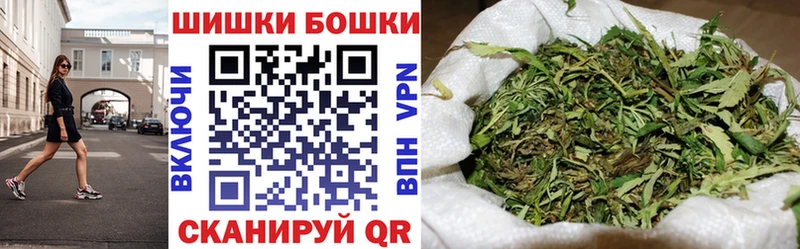 Купить закладки Судак Каннабис индика